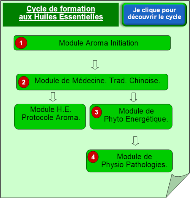 La Formation en Huiles essentielles, le cursus, ses cycles et modules